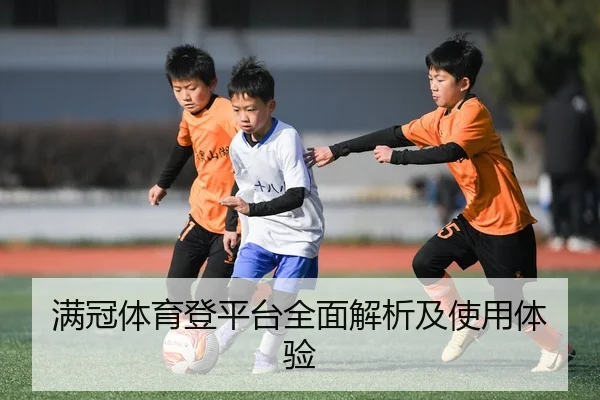 满冠体育登平台全面解析及使用体验